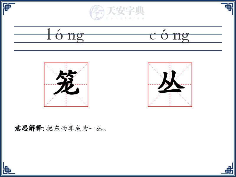 笼丛