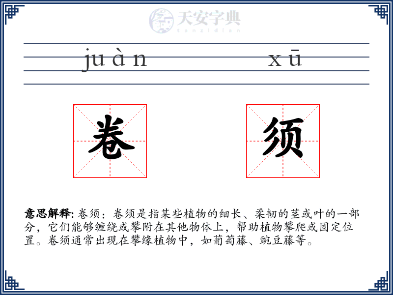 卷须