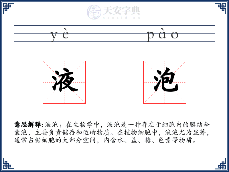 液泡