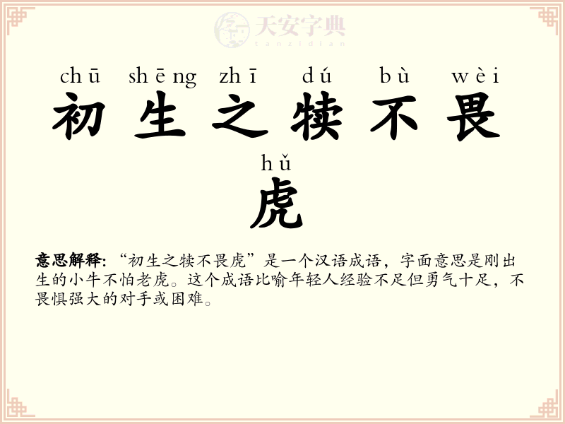 初生之犊不畏虎