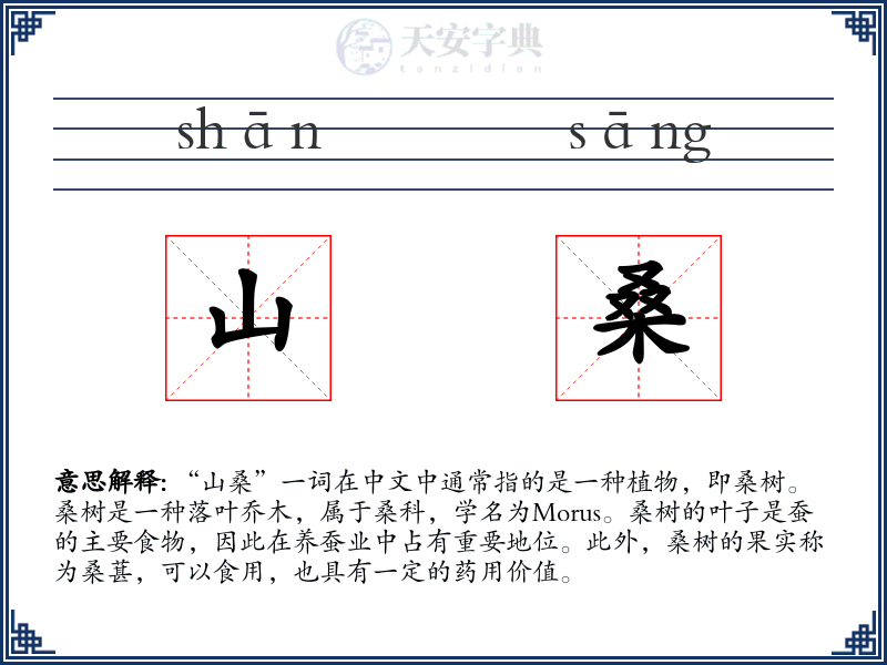 山桑