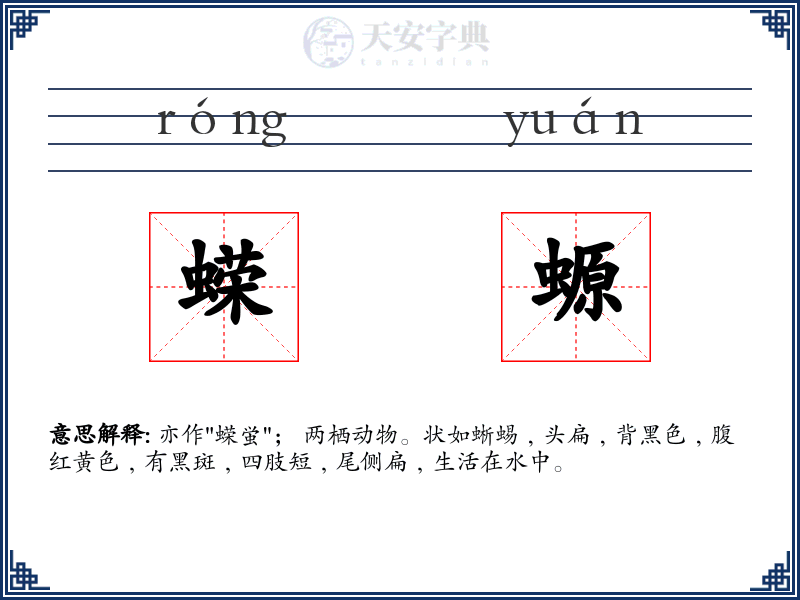 蝾螈