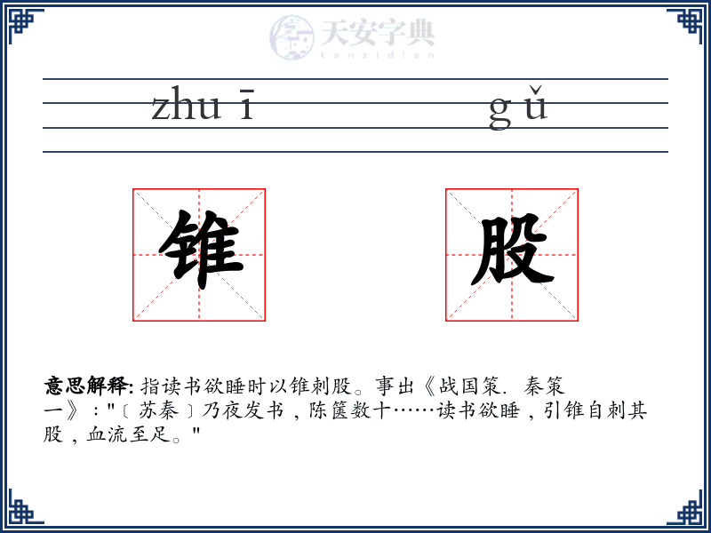 锥股