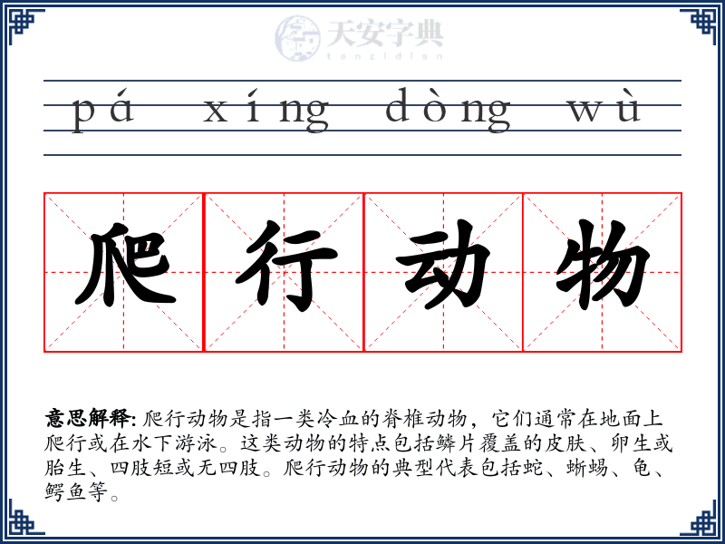爬行动物