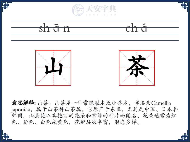 山茶