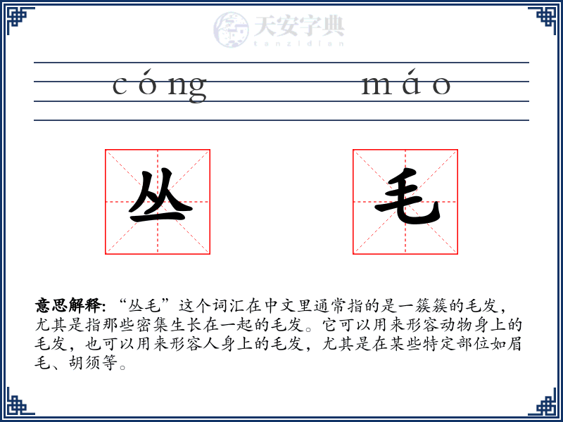 丛毛