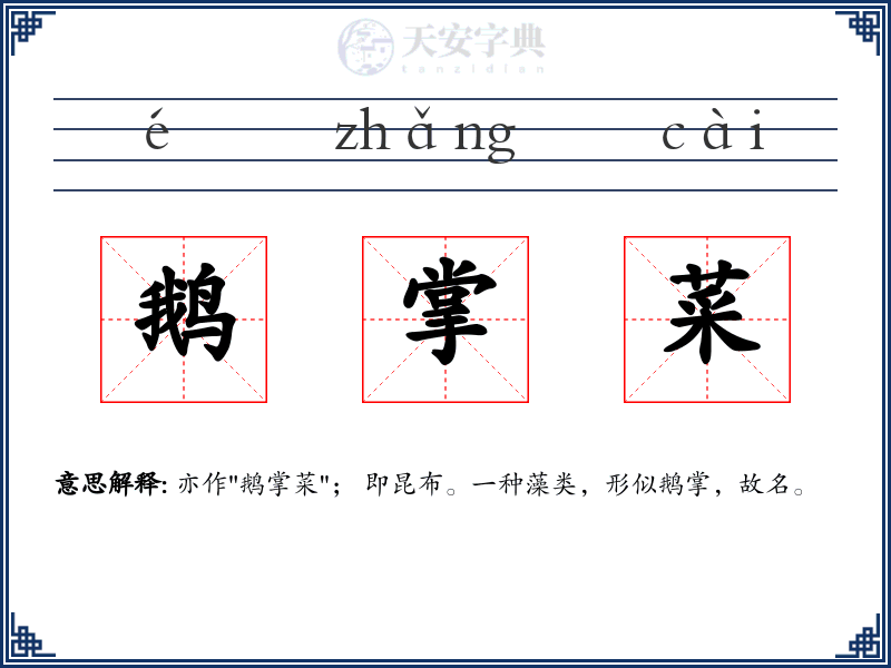 鹅掌菜