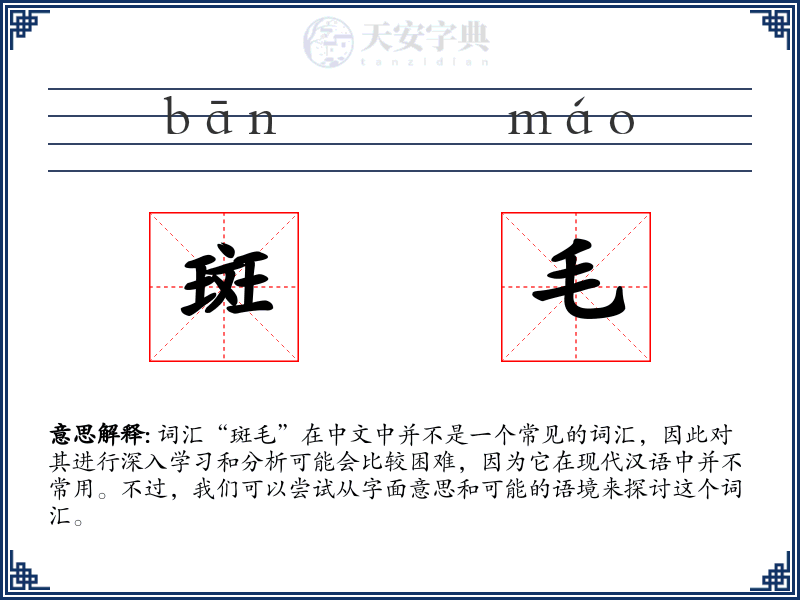 斑毛
