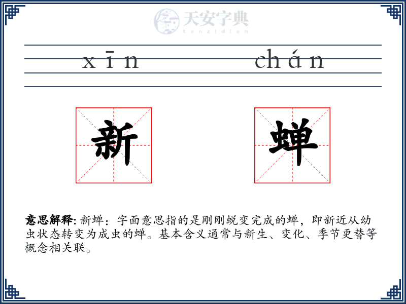新蝉
