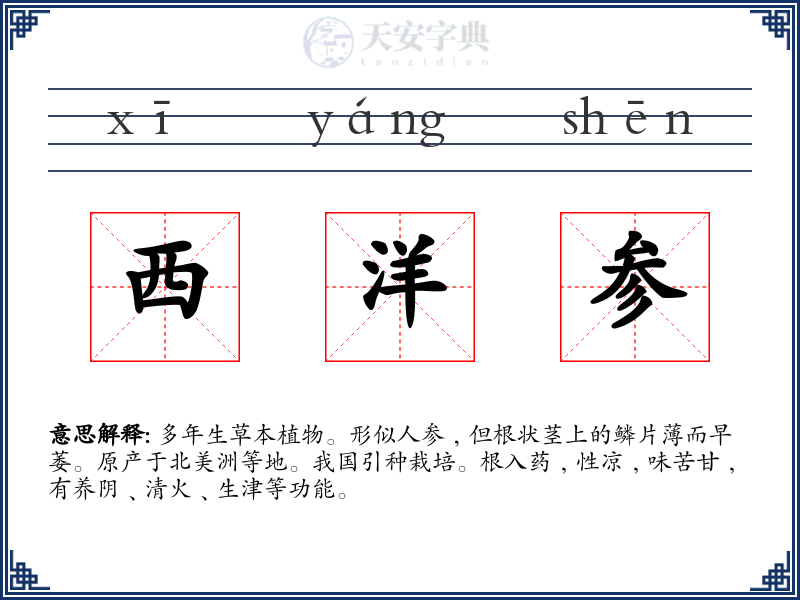 西洋参