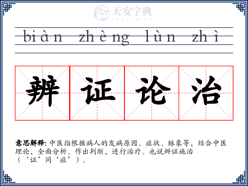 辨证论治