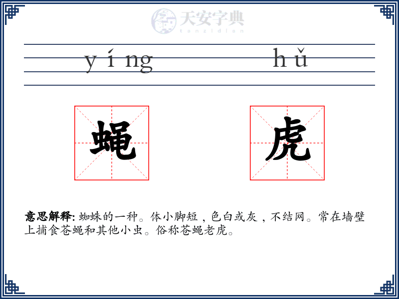 蝇虎