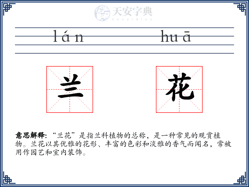 兰花