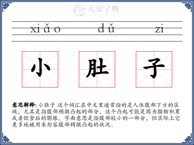 小肚子