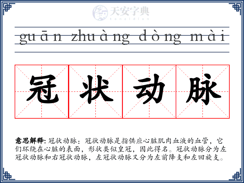 冠状动脉