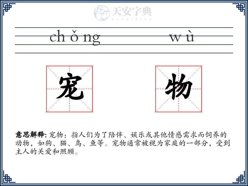 宠物