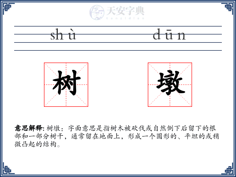 树墩