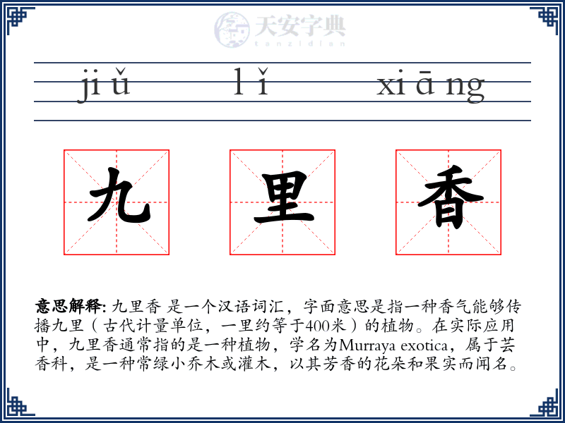 九里香