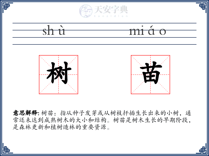 树苗