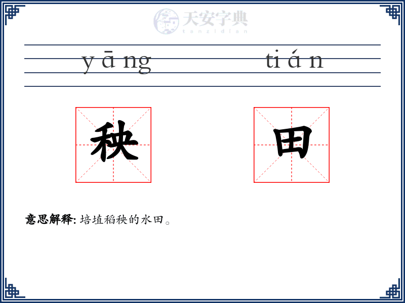 秧田