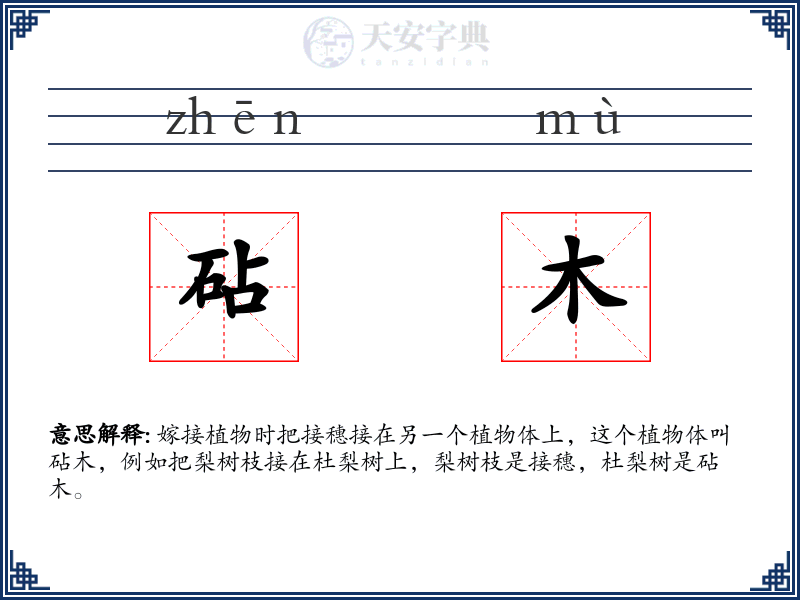 砧木