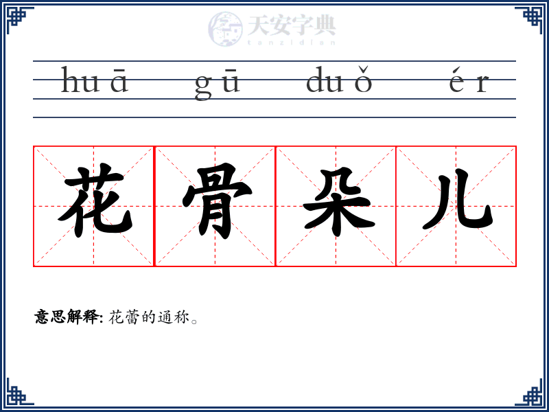花骨朵儿