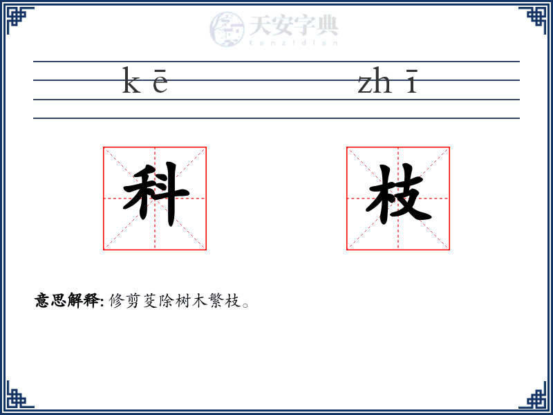 科枝