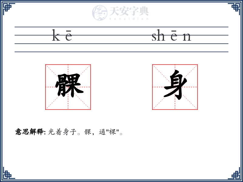 髁身