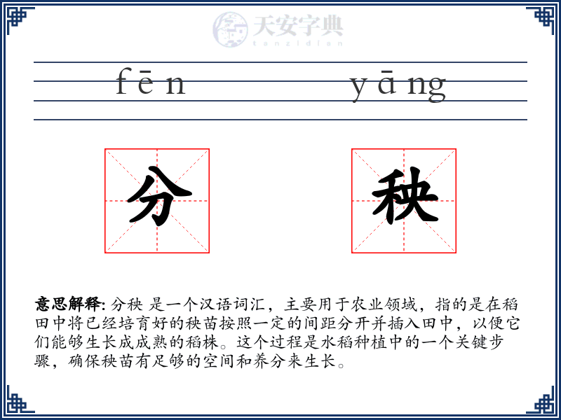 分秧