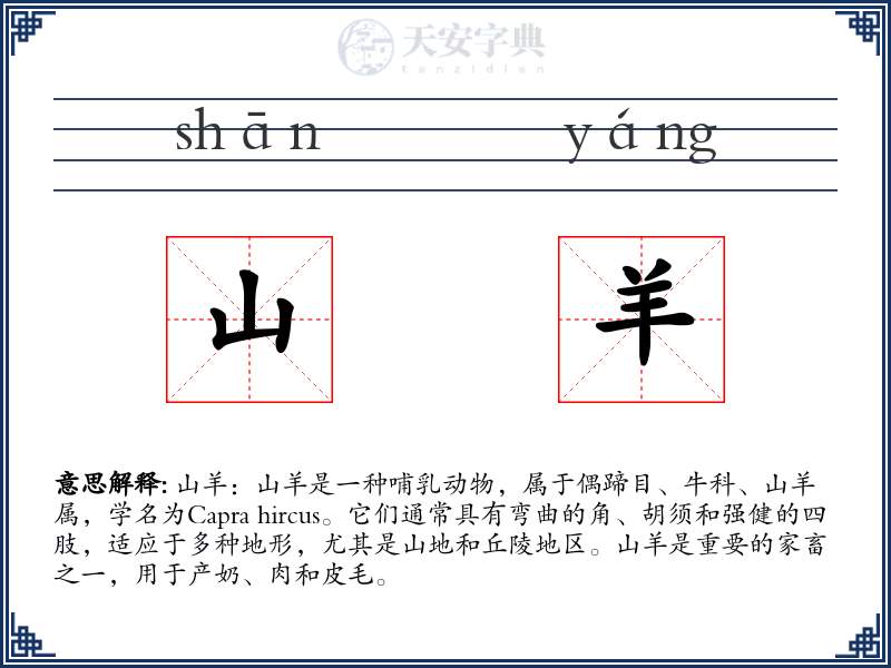 山羊