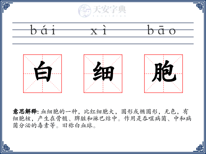 白细胞