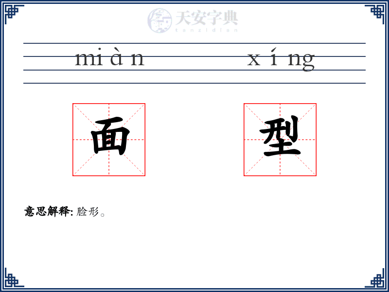 面型