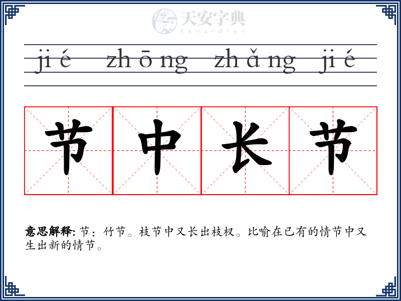 节中长节