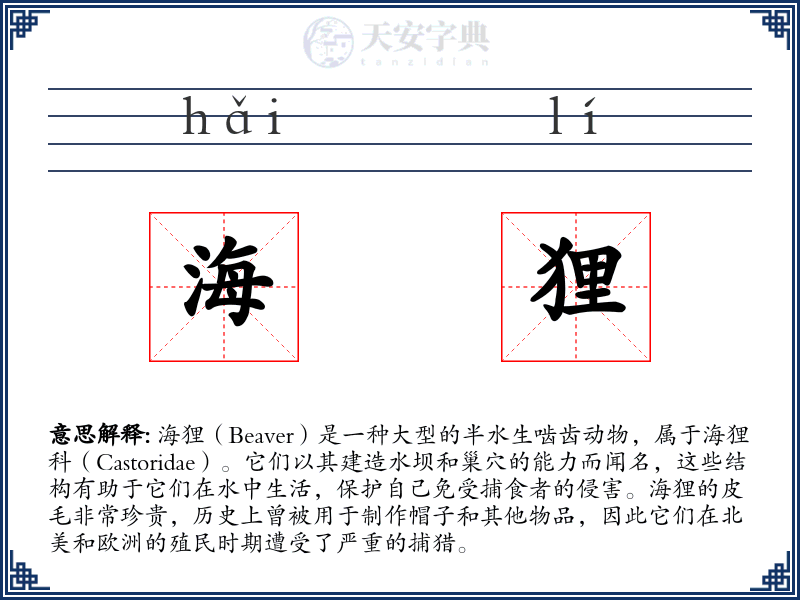 海狸