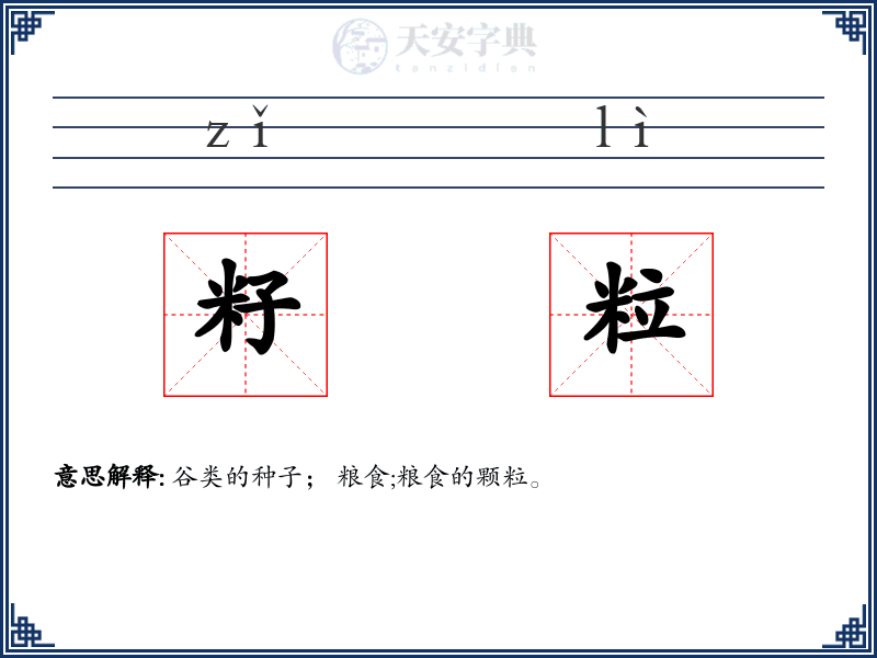 籽粒