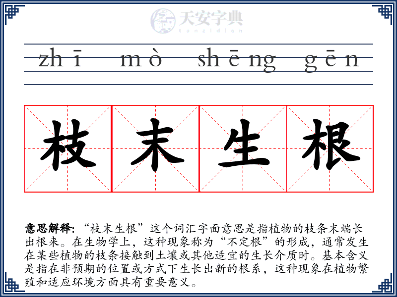 枝末生根