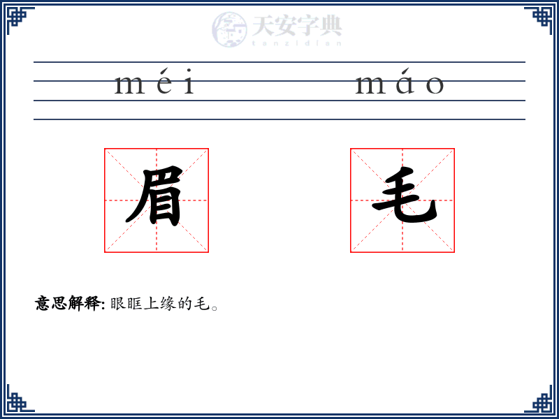 眉毛
