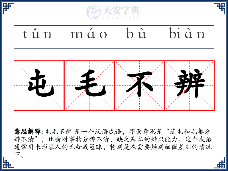 屯毛不辨