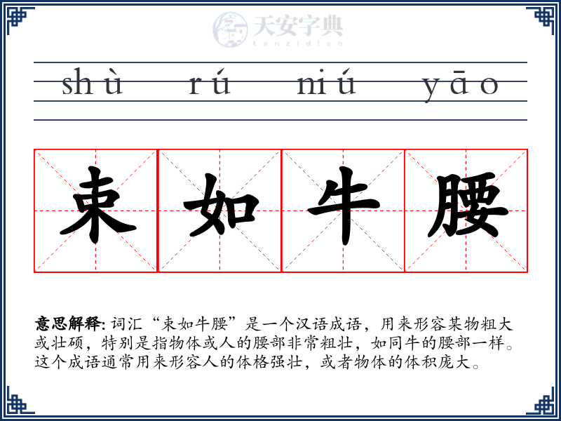 束如牛腰