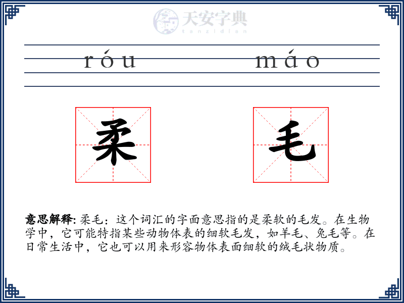 柔毛