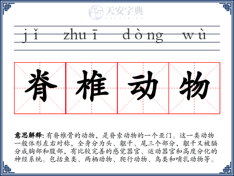 脊椎动物
