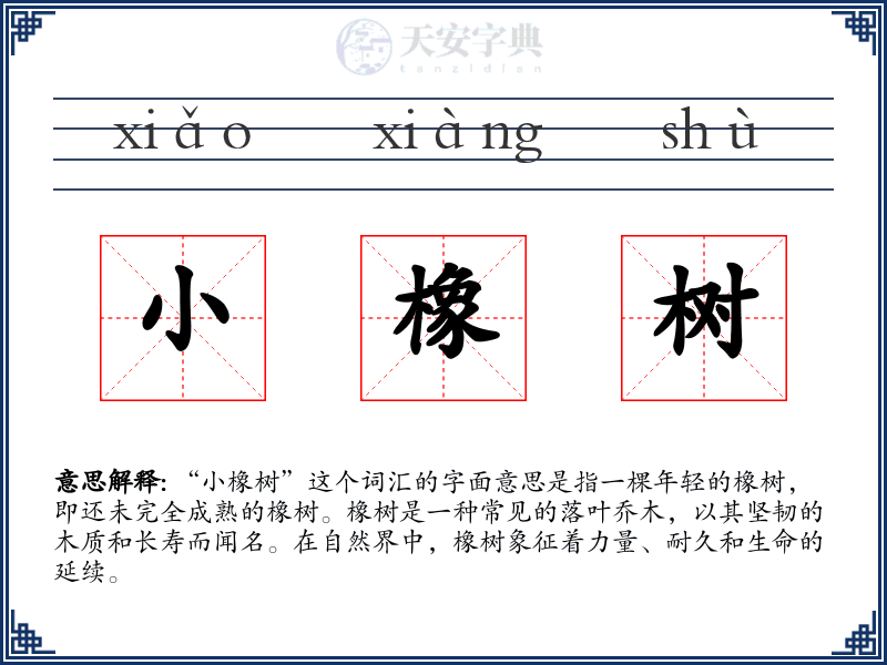 小橡树