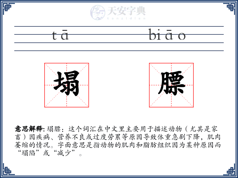 塌膘