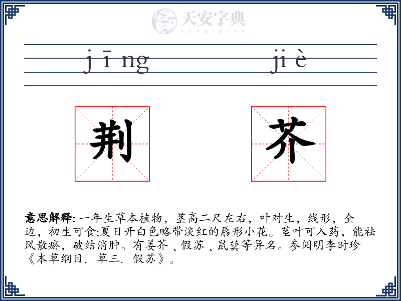 荆芥