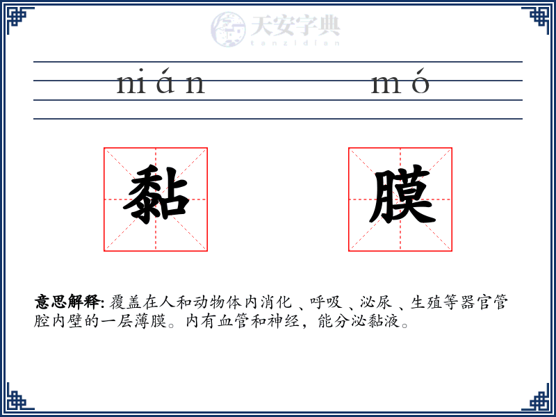 黏膜