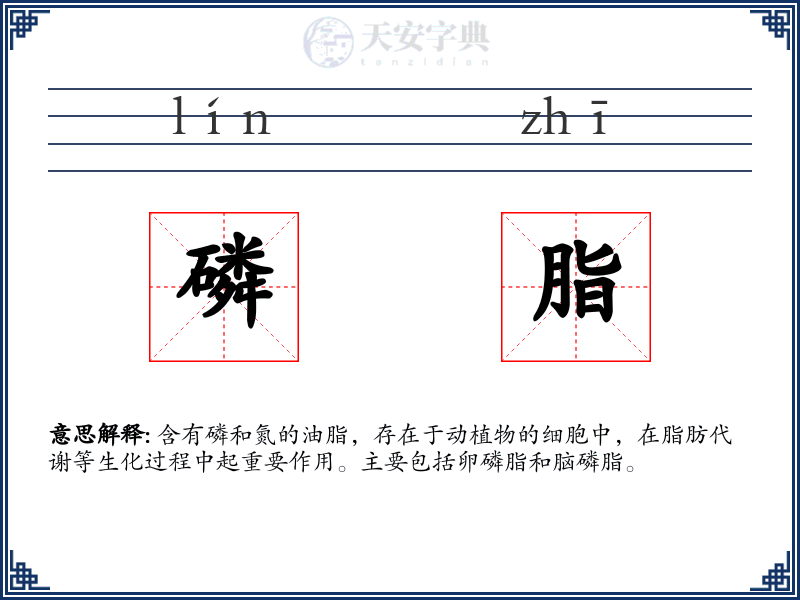 磷脂