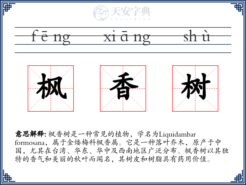 枫香树