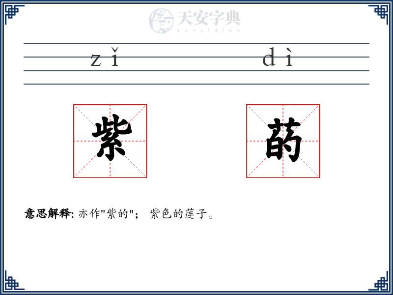 紫菂