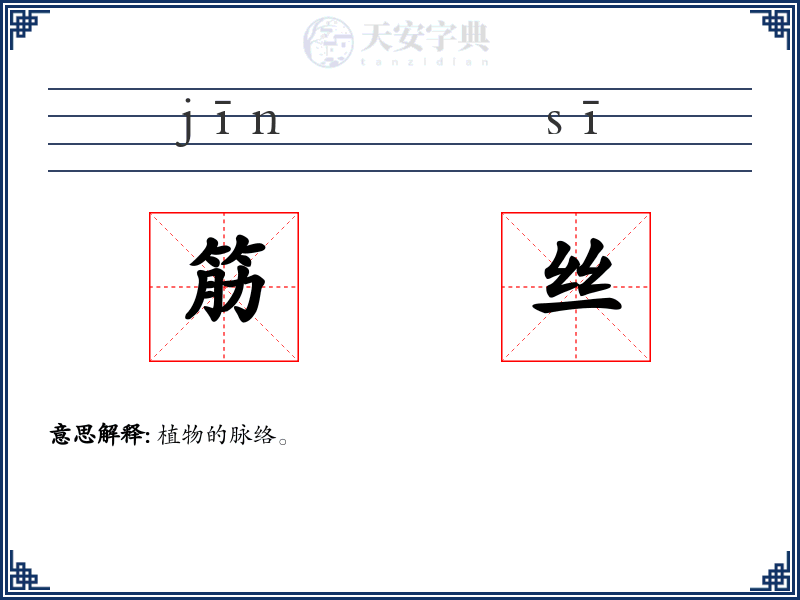 筋丝
