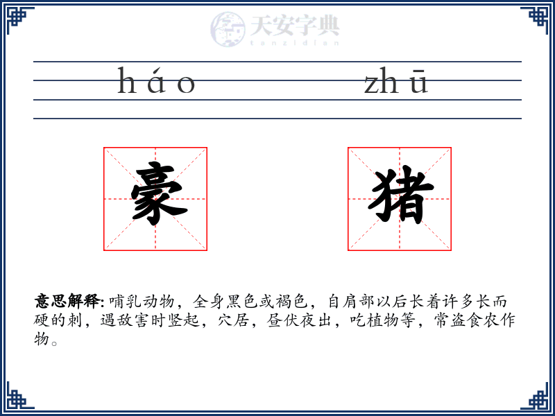 豪猪
